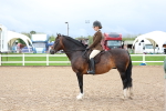 SBM_00297
