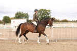 SBM_02796