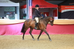 SBM_10618