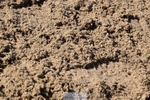 260314-110303-03861