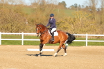 SBM_003453