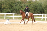 SBM_00544