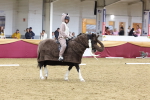 SBM_09891