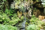 Fairy Glen