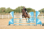SBM_023885