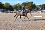 BPP_8984