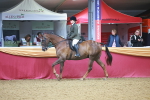 SBM_09677