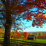 New Brunswick Canada Autumn Foliage