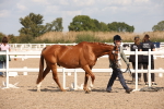 SBM_03381