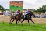 170826-Race 3-Quercus-9369
