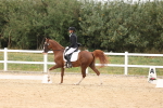 SBM_02075