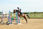 SBM_003191