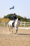 SBM_006631