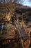 Mahseer Fishermans Treehouse.
