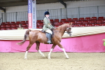 SBM_03092