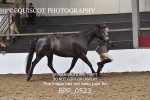 BPP_0523