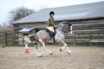 SBM_007964