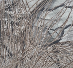 Bogland Strata 42, 57cm x 60cm