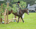 Dunblane show-74
