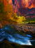 Zion National Park Utah USA