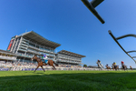 100726-Race 7-Green Sky-2564