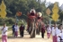 Elephant Conservation Center - Thailand