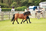 SBM_00521