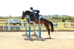 SBM_006847
