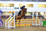 SBM_002626