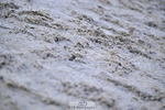 260207A-163453-01240