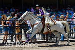 _DSC5510