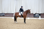 SBM_001564
