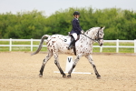 SBM_005913