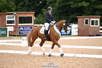 Cls 9-P Freestyle Adv Medium Bronze portfolio