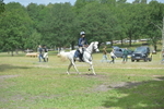 NGP_7841