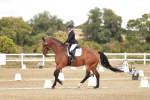 SBM_010846
