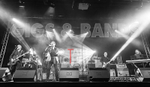 Harry Dean Junior and the New Breed-39