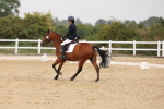 SBM_01535