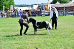 SBM_03493