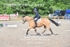 BPP_9556