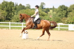 SBM_002799