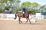 SBM_00197