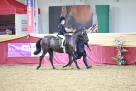 SBM_03381