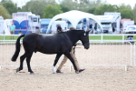 SBM_15314