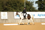SBM_16446
