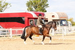 SBM_15477