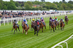150526-Race 3-Warrant Holder-0154