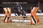 BPP_3679