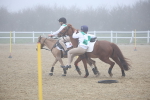SBM_000986