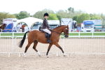 SBM_17494